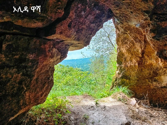 ኦልዳ ዋሻ-hadiya