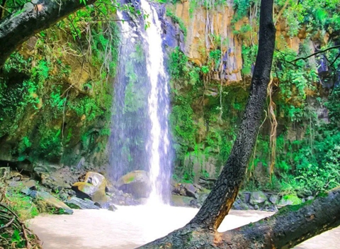 Dekanshi fuafute kebena